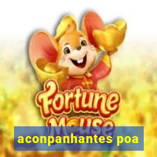 aconpanhantes poa